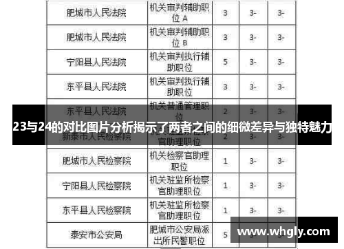 23与24的对比图片分析揭示了两者之间的细微差异与独特魅力