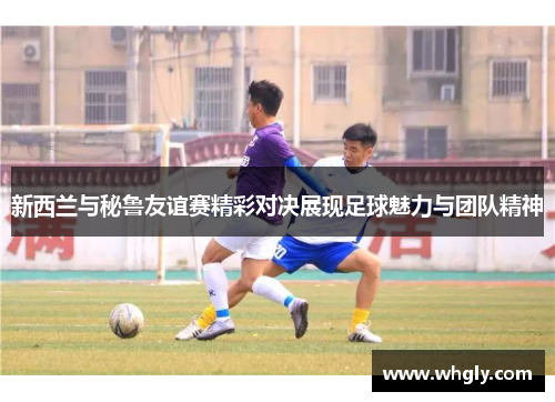 新西兰与秘鲁友谊赛精彩对决展现足球魅力与团队精神